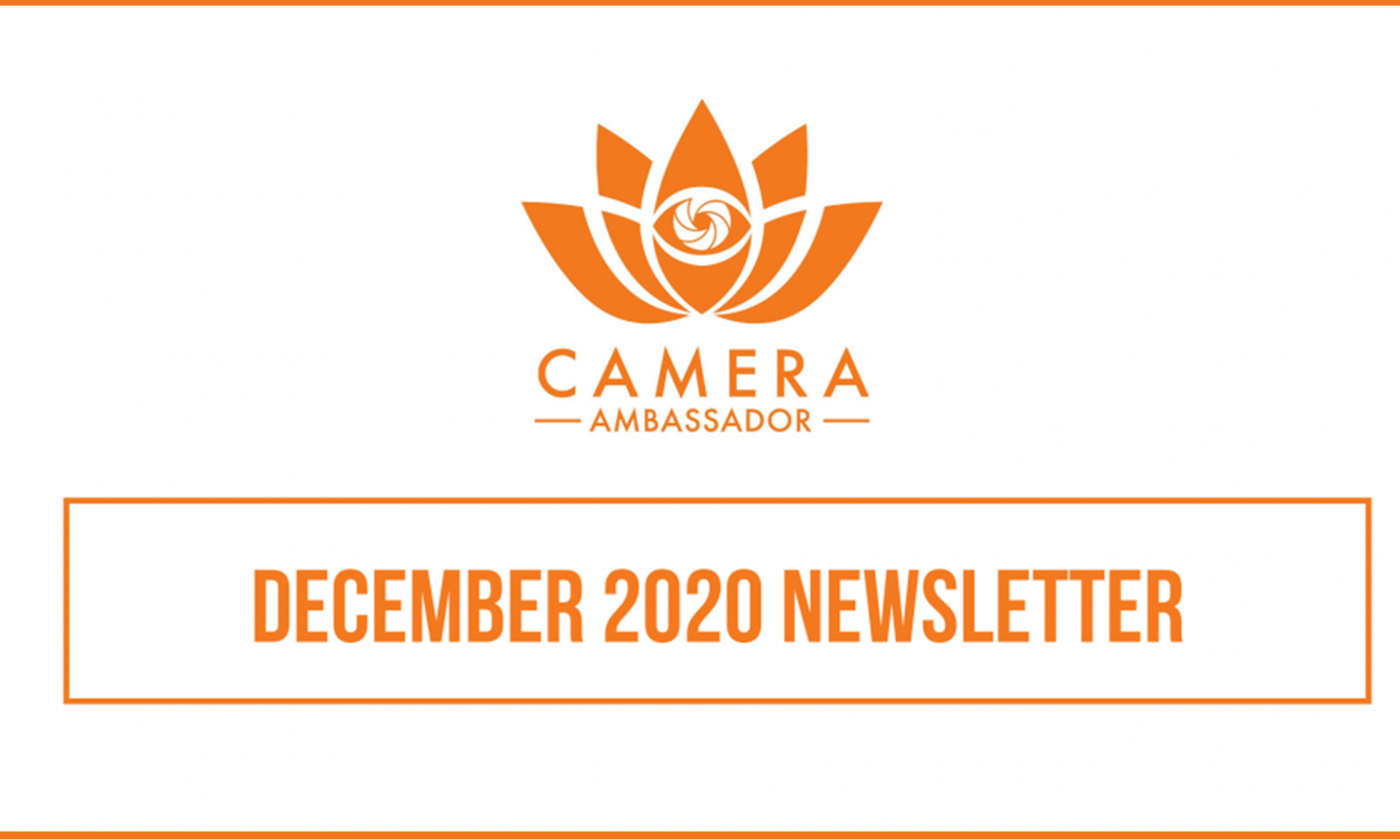 December 2020 Newsletter