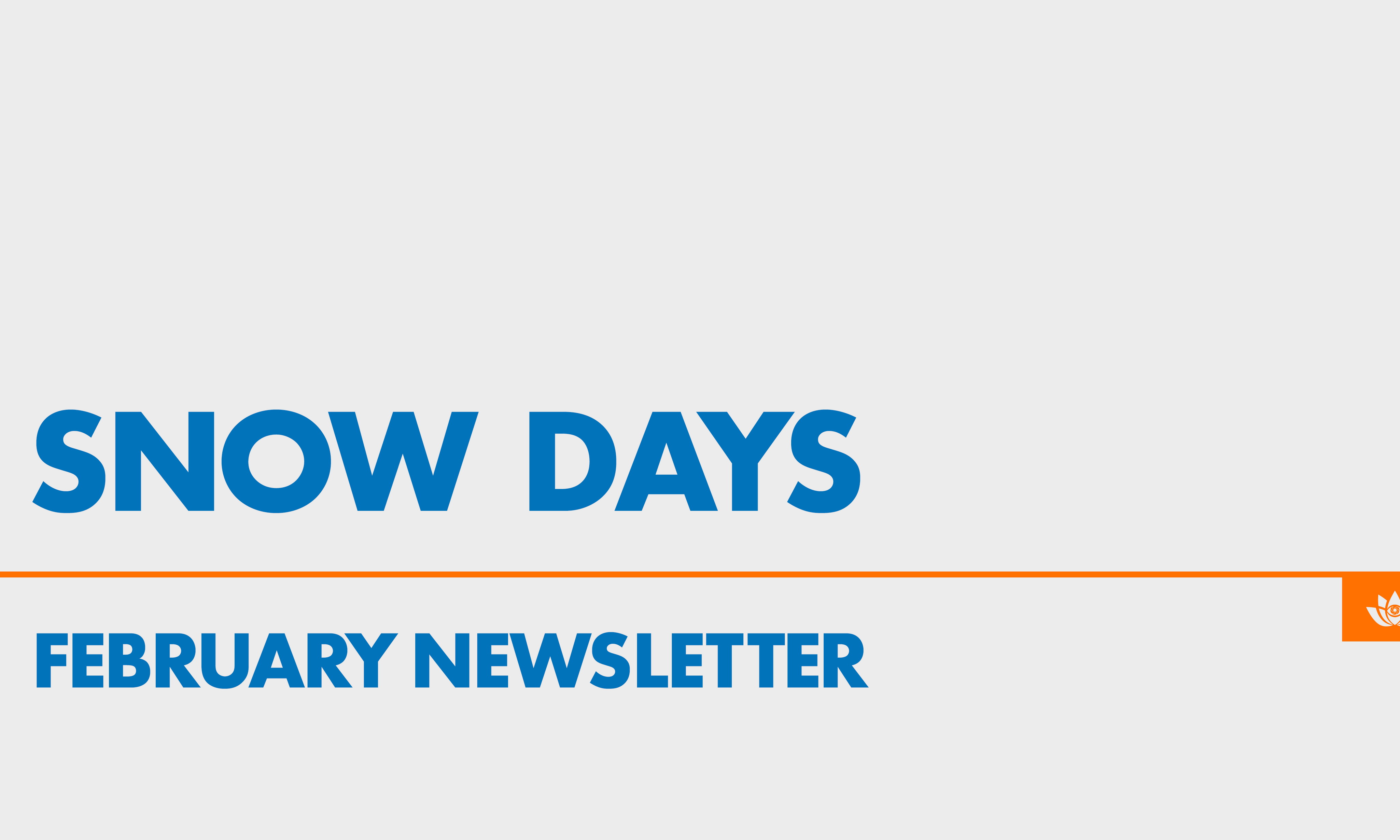 Community Newsletter: February: Snow Days