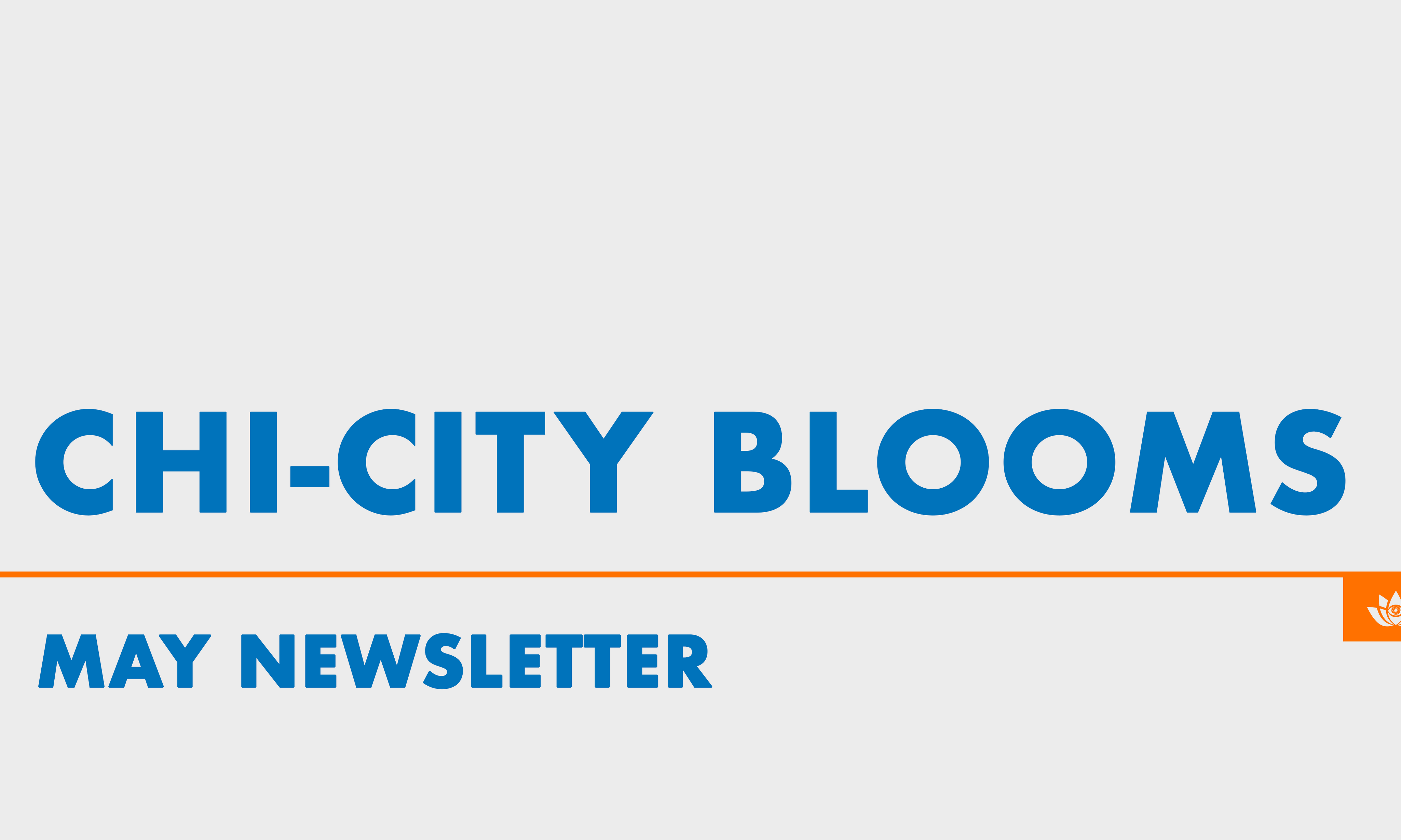 May 2023 Newsletter: Chi-City Blooms 🌸🎥