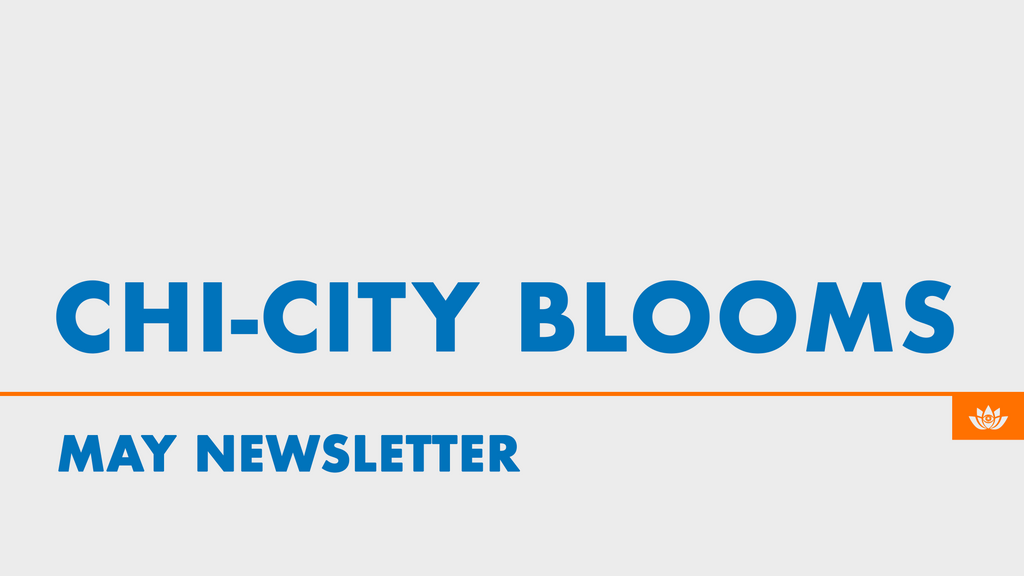 May 2023 Newsletter: Chi-City Blooms 🌸🎥
