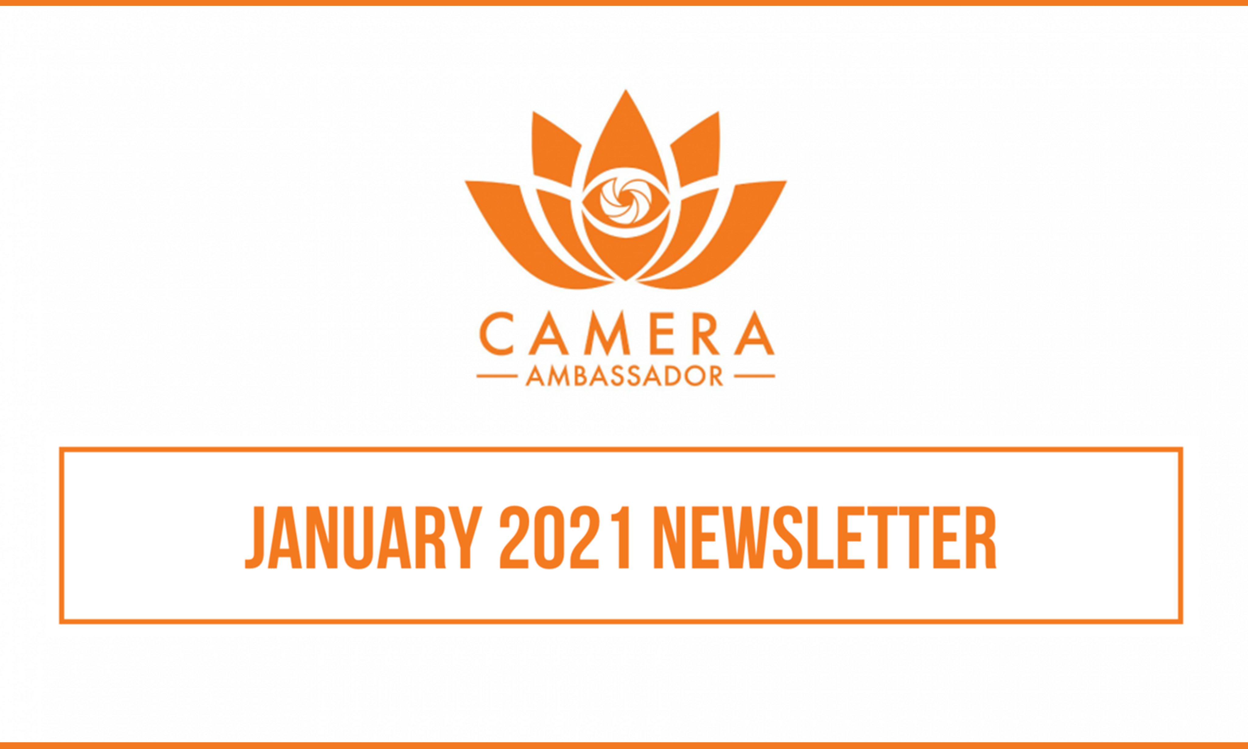 January 2021 Newsletter