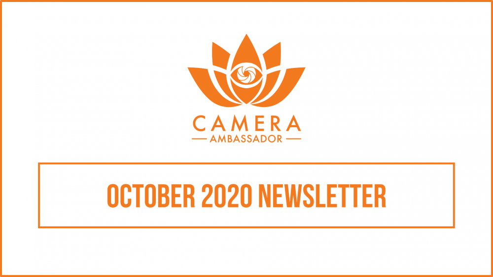 October 2020 Newsletter