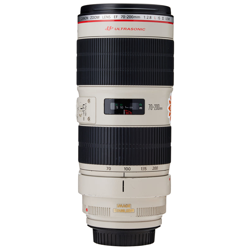Canon EF 70-200mm f/2.8 II IS Zoom Lens