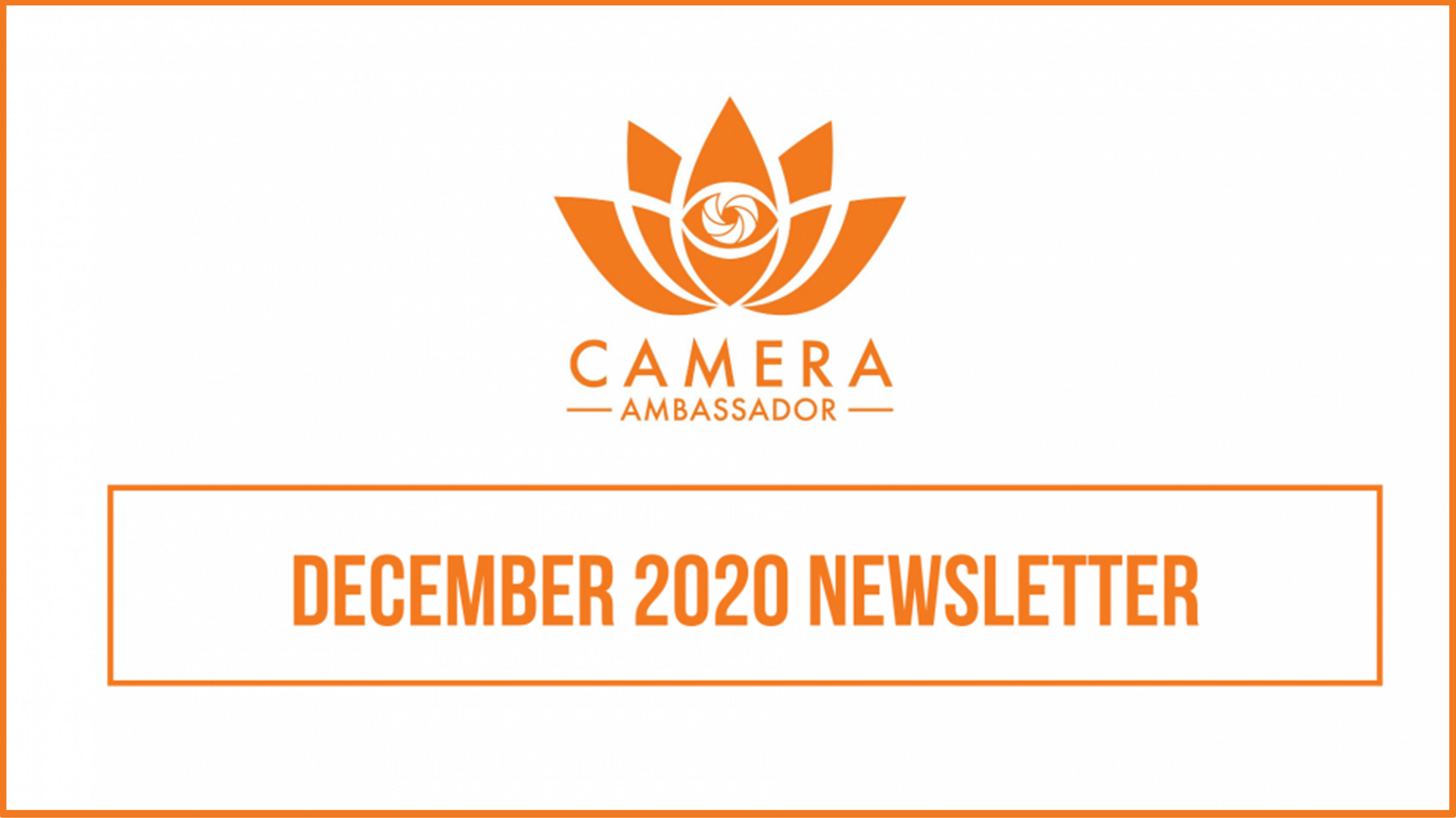 December 2020 Newsletter