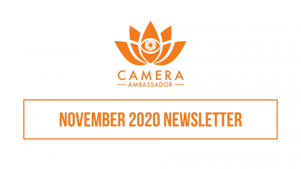 November 2020 Newsletter