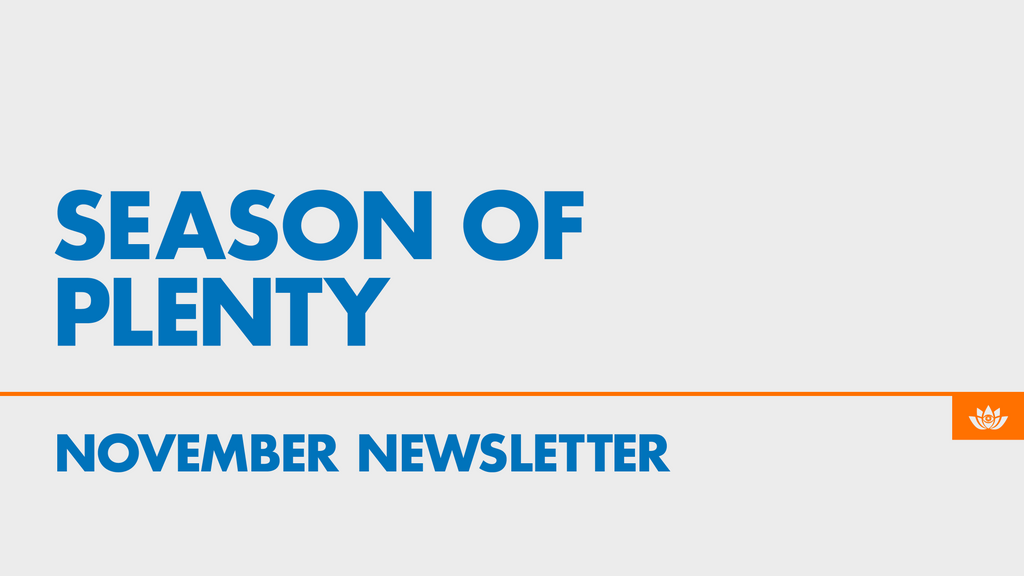 Community Newsletter: November: Season of Plenty