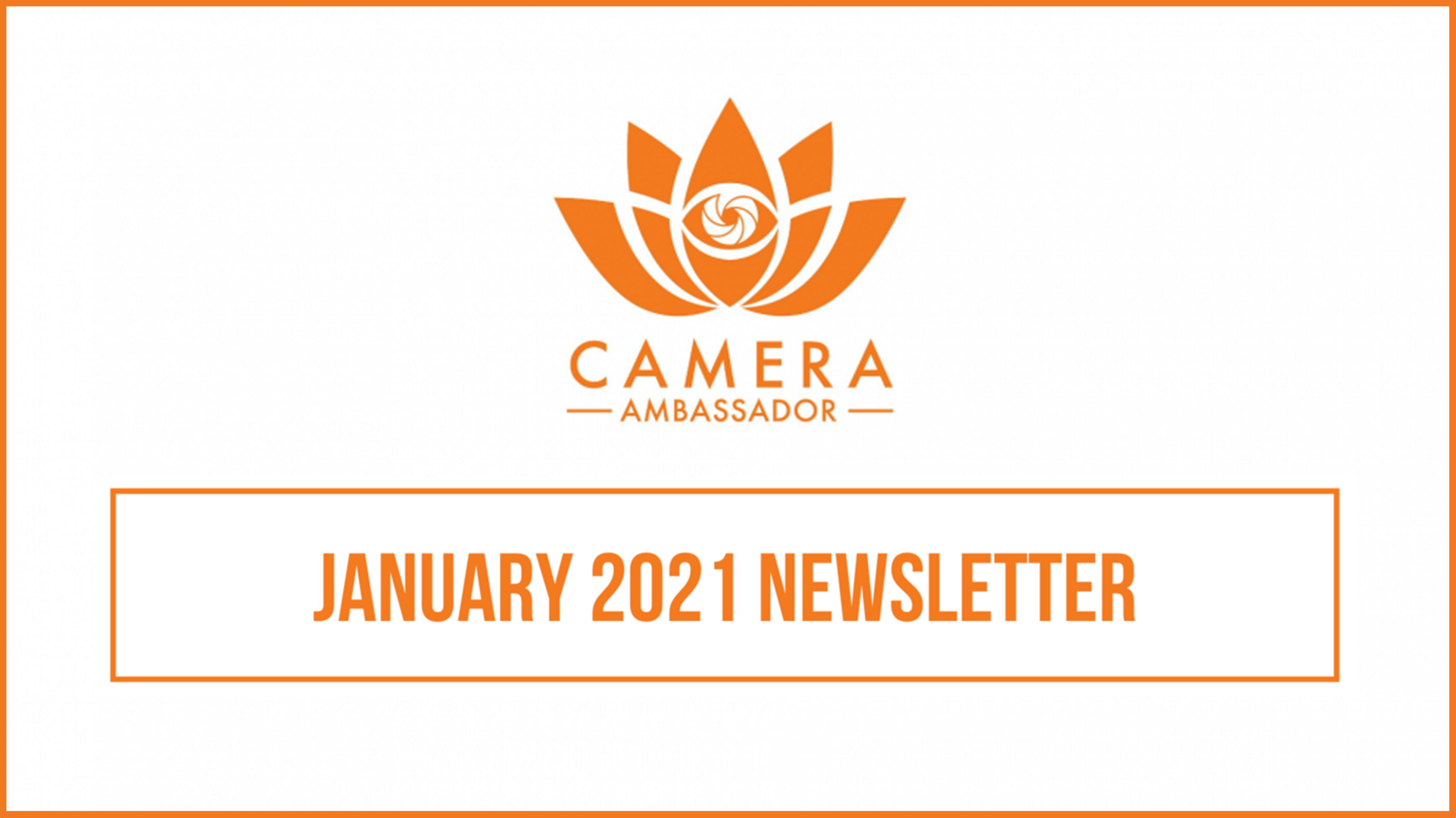 January 2021 Newsletter