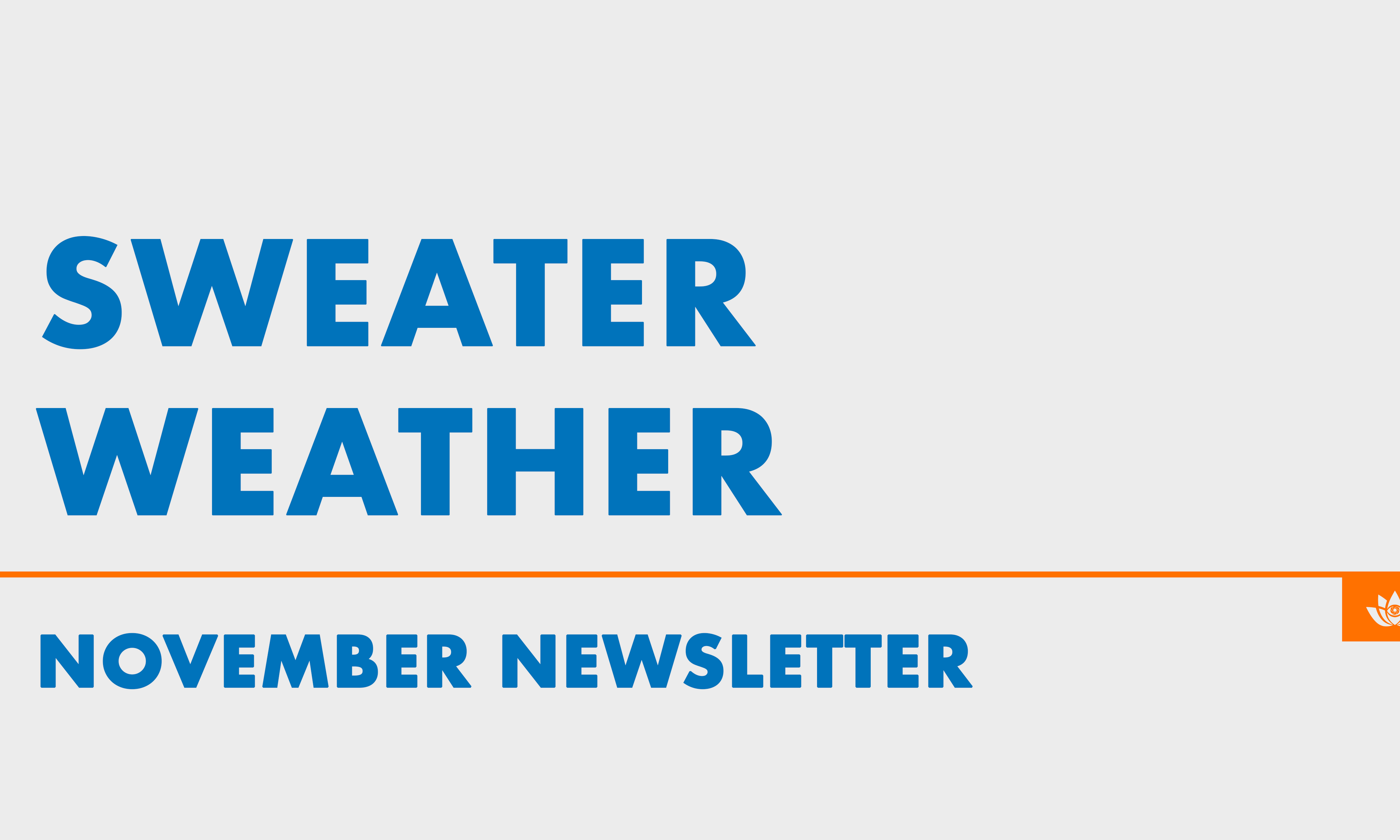 November 2022 Newsletter: Sweater Weather 🧥🍂