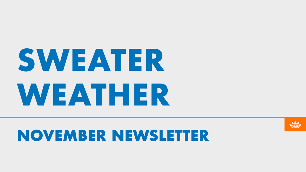 November 2022 Newsletter: Sweater Weather 🧥🍂